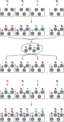 IgE Epitope Profiling for Allergy Diagnosis and Therapy – Parallel Analysis of a Multitude of Potential Linear Epitopes Using a High Throughput Screening Platform